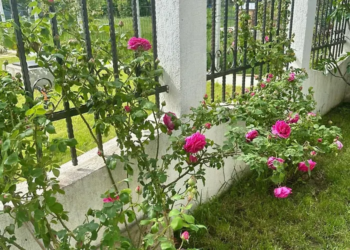 וילה Tasaul Năvodari