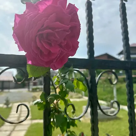 Tasaul Villa *