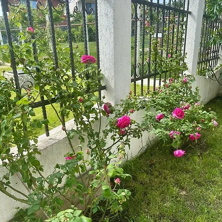 Villa Tasaul Năvodari